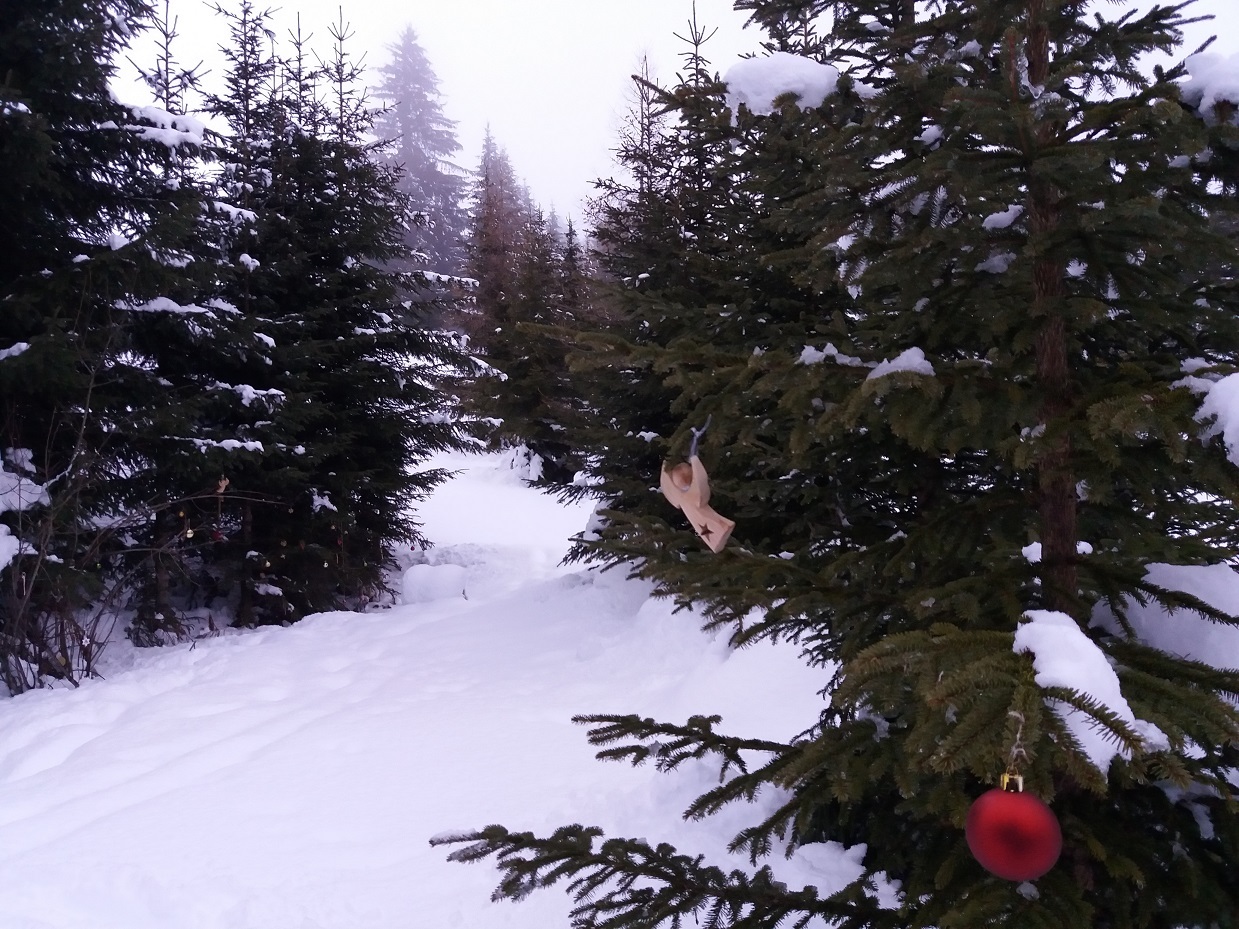 Fröhliche Weihnachten!